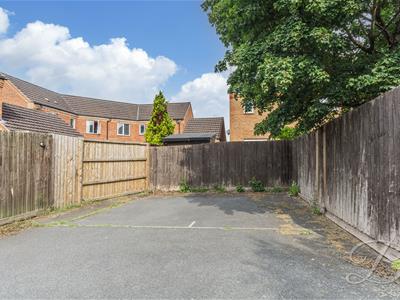 Picture 21
